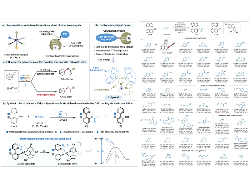 上海交大劉家旺/鄭慶舒團(tuán)隊(duì)實(shí)現(xiàn)雙功能光活性手性配體促進(jìn)的可見(jiàn)光和鎳協(xié)同催化的不對(duì)稱(chēng)C?O偶聯(lián)